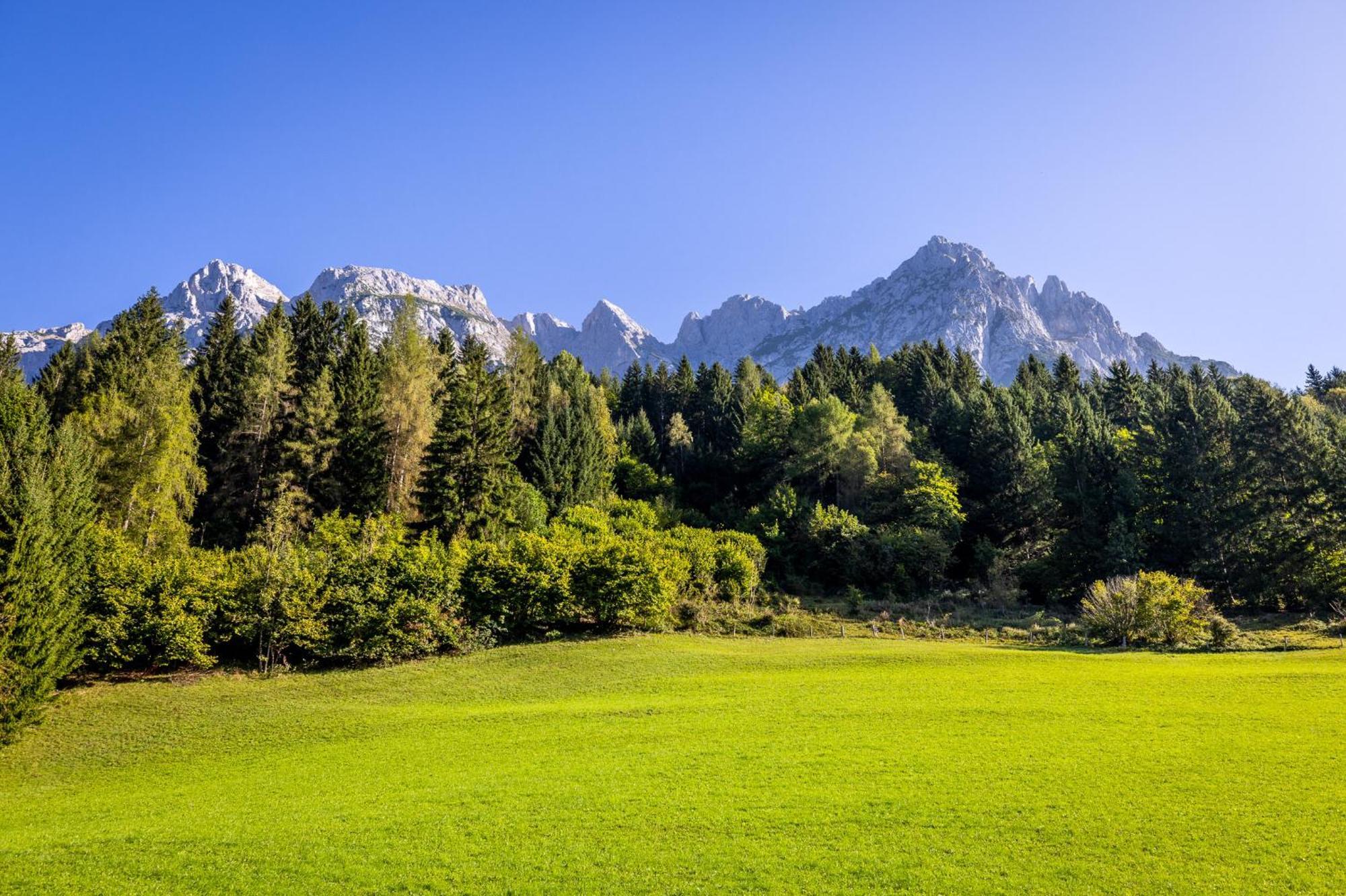 Hotel Der Burgblick-adults Only
